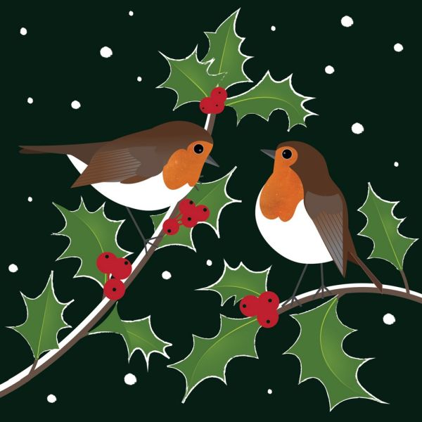 Luxury RSPB Charity Christmas Cards - Robins & Holly - Pack of 10